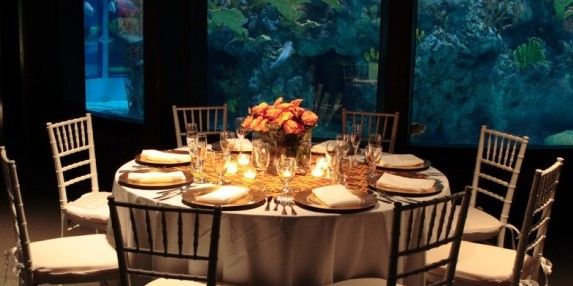 The Mystic Aquarium...awesome place to get married