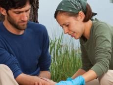 Wilderness First Aid