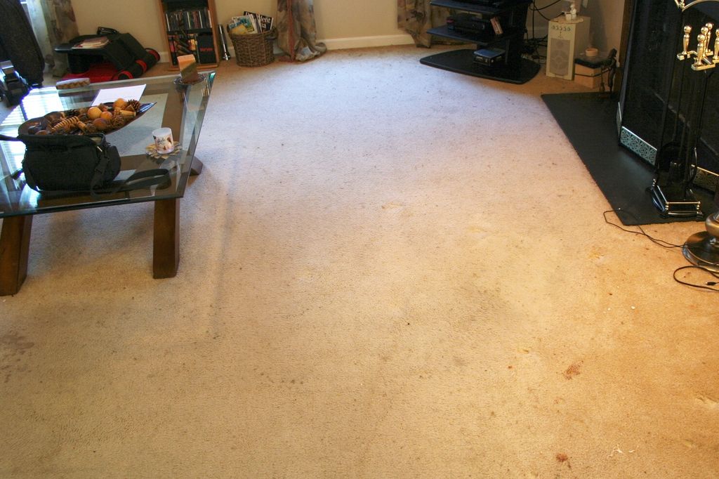 Before the Majestic Carpet Royal Treatment