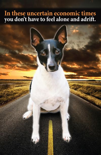 Direct mail postcard for tax lawyer located in Pet