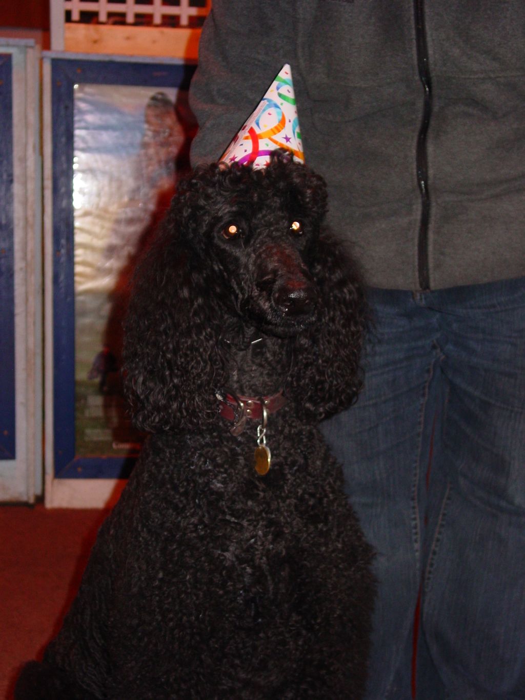 Luke enjoying the party