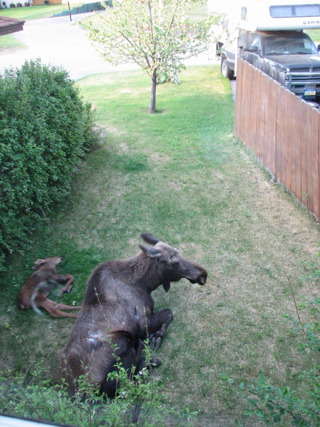 Shot this pic from my deck.