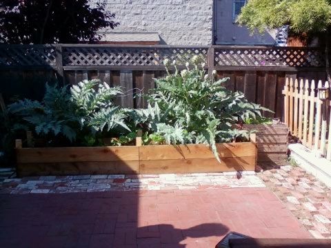 Brick Patio  and Choke box, Emeryville CA