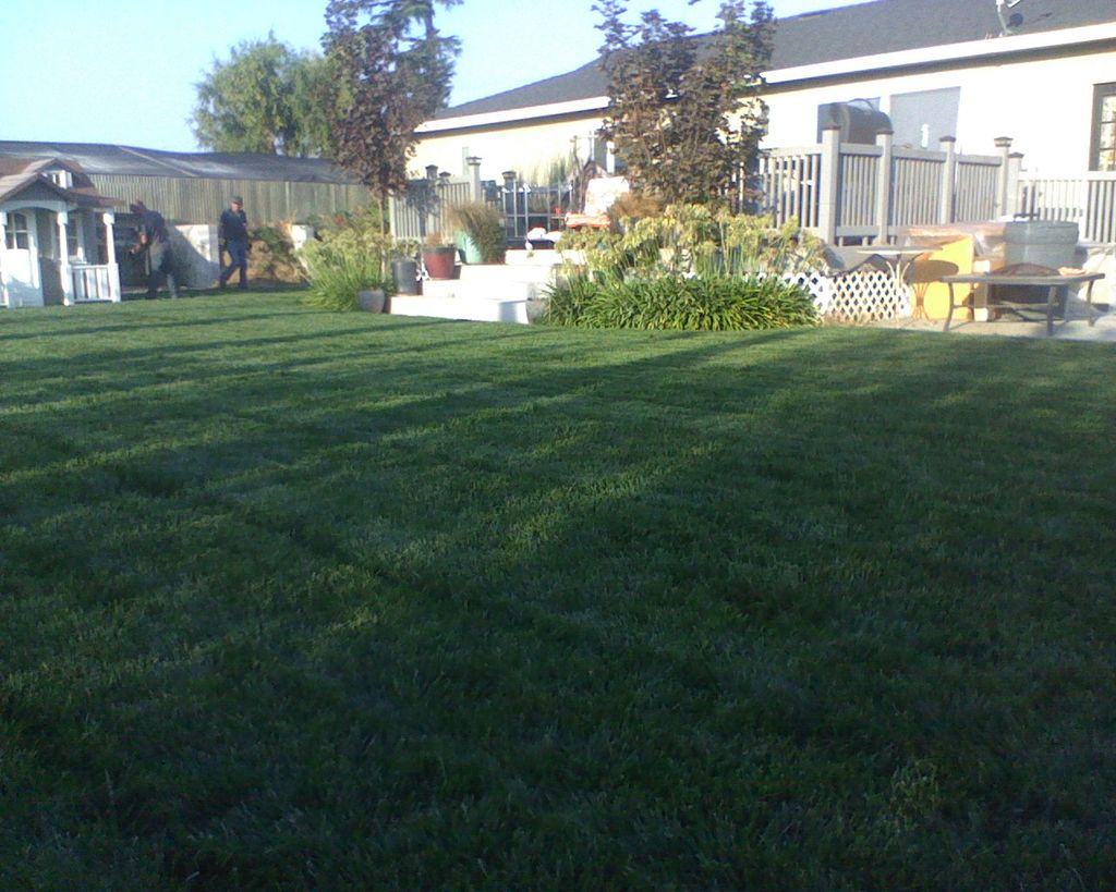 Apple Tree Lawncare