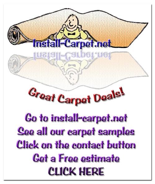 Install-Carpet