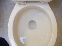 Toilet After Cleaning