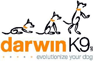 Darwin K9, An Evolution in Dog Training!