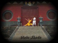 Wushu Shaolin Kung Fu