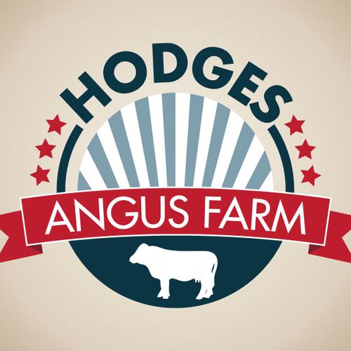 This logo was designed for a local Angus cattle fa