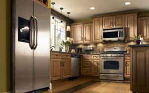 KITCHEN APPLIANCES , WHY BUY PROTECTION PLAN? TOO 