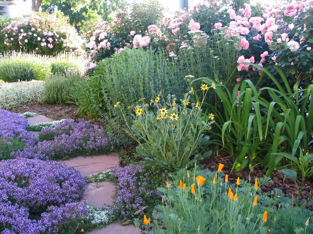 herb garden