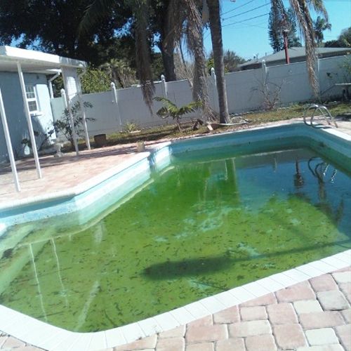 Neglected pool from foreclosure