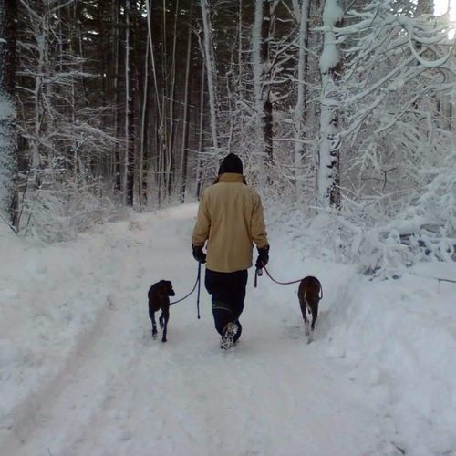Walking in a winter wonderland!