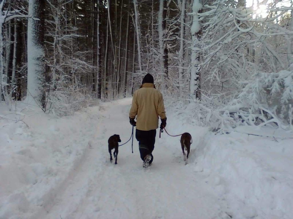 Walking in a winter wonderland!