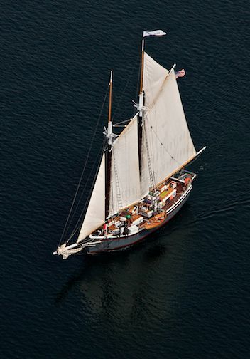 The "Lewis French"