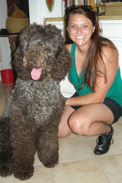 Lucca Pucca!

Standard Poodle at 1.5 years.