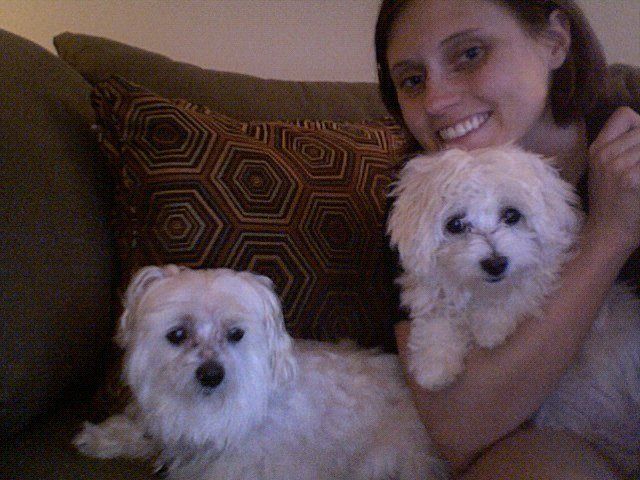 Solomon (12 years) and Mason (12 weeks). 
Maltese