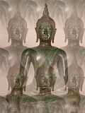 Re: Buddhist meditation and mindfulness practice. 