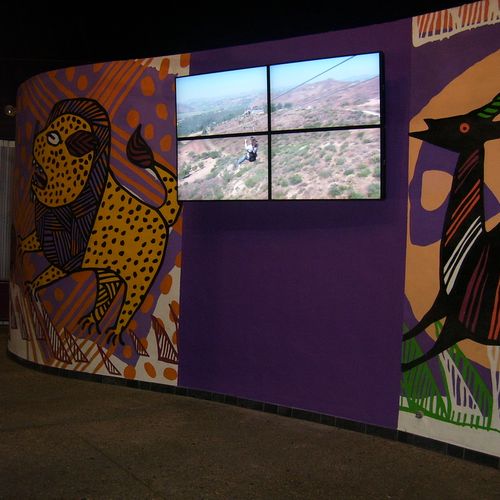 Video wall installed at the Wild Animal Park