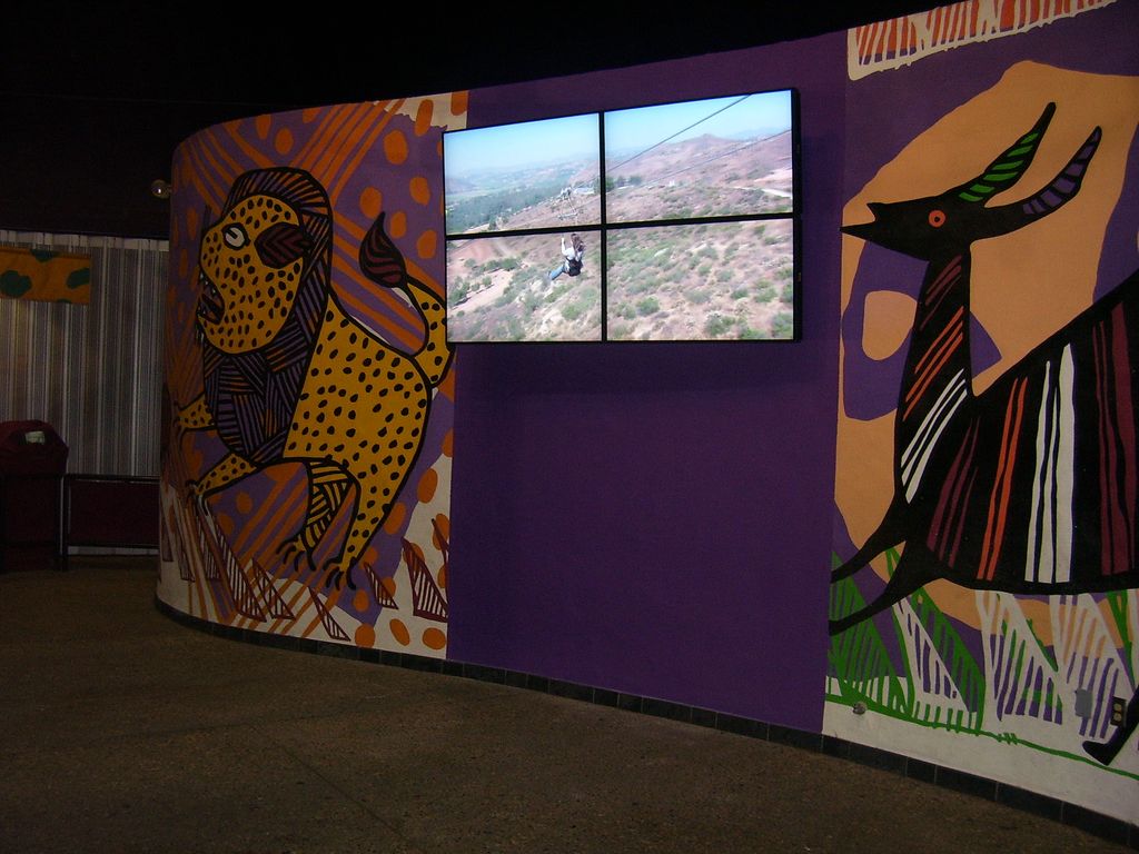 Video wall installed at the Wild Animal Park