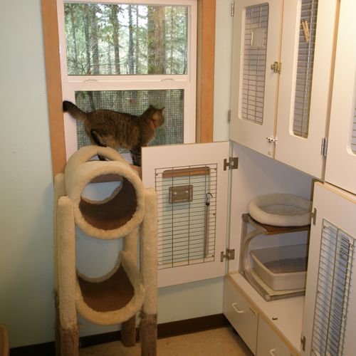 Cattery suite.
Our Cattery is located in its own b