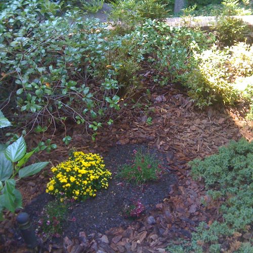 added small flower bed and reoved pinestraw bed , 
