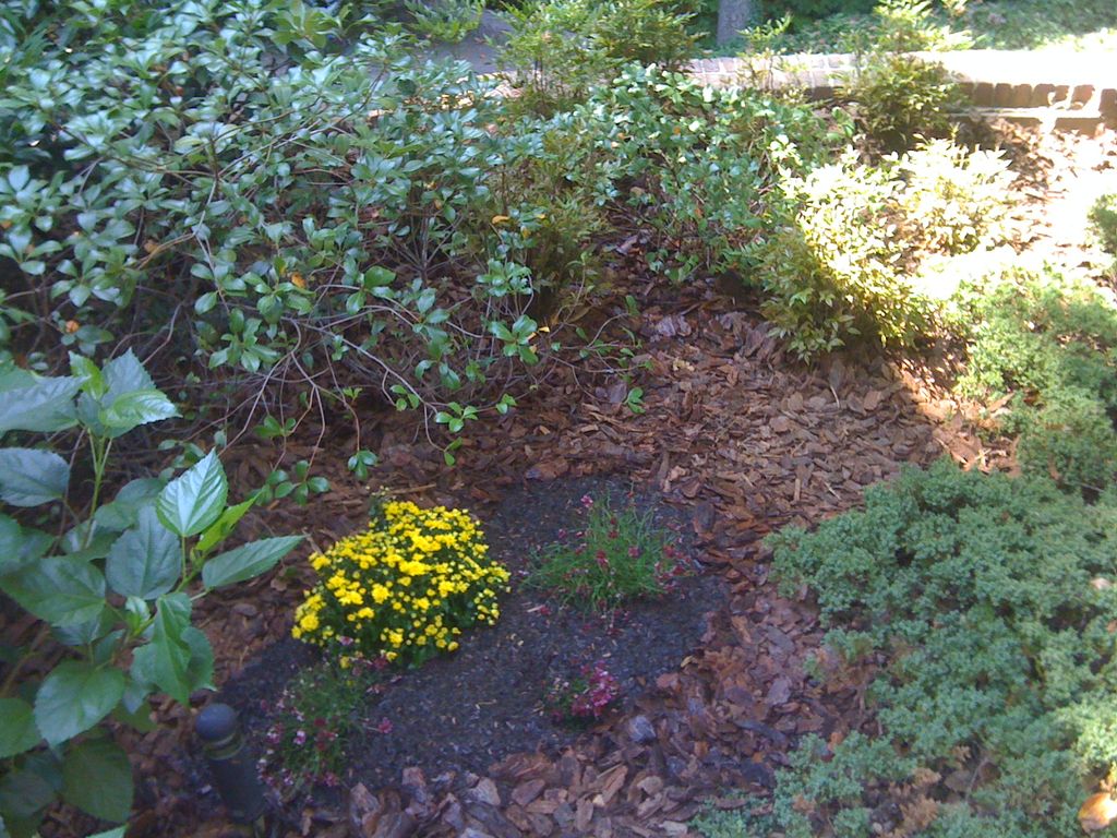added small flower bed and reoved pinestraw bed , 