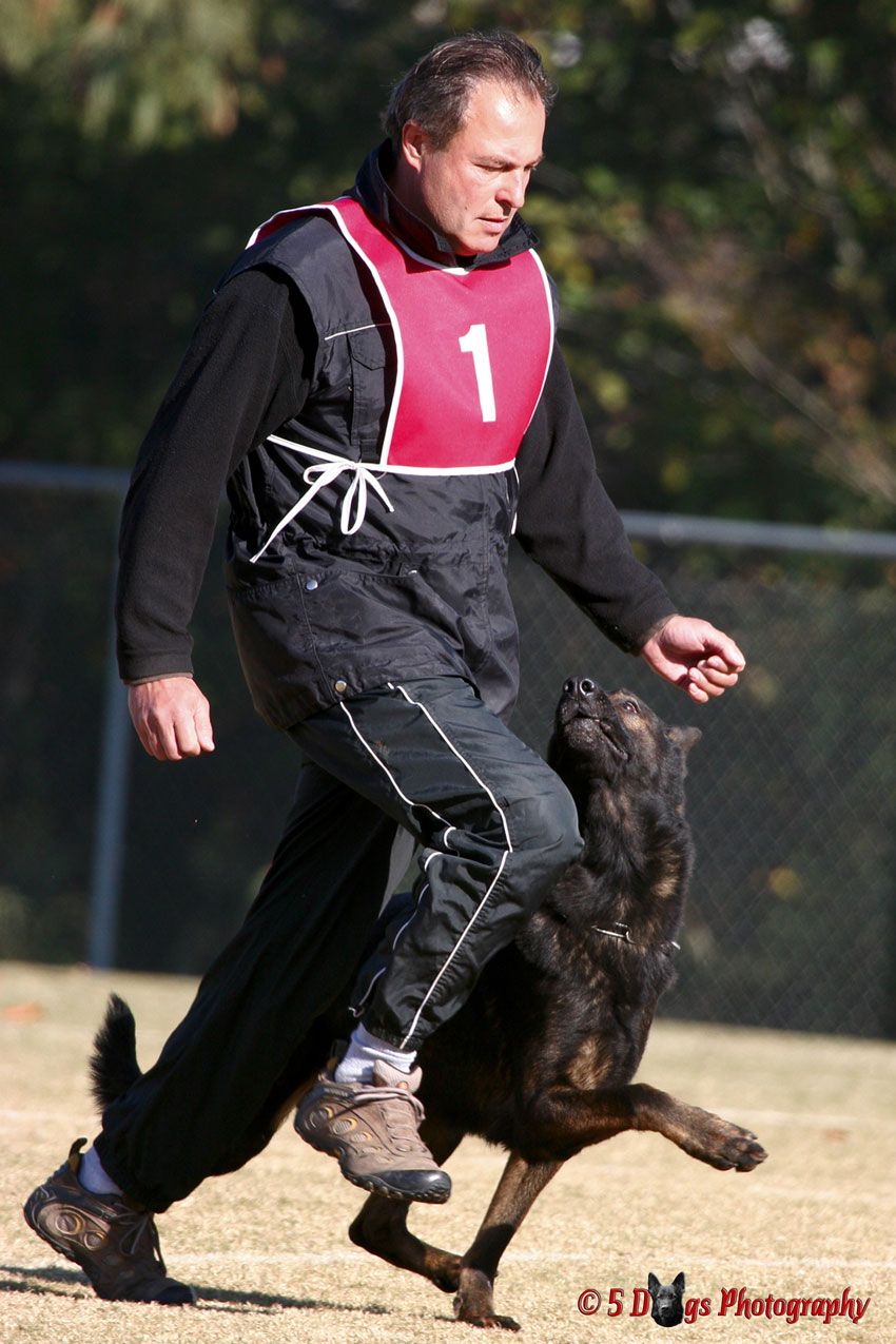 Alpha K9 In Home/Mobile Dog Training
