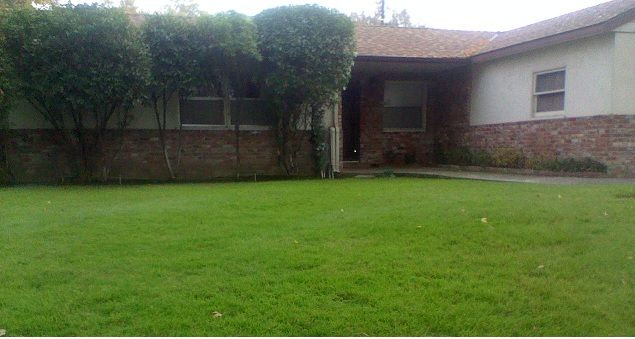 Apple Tree Lawncare
