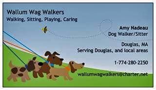 Wallum Wag Walkers