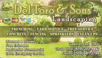 Del Toro And Sons Landscaping Company