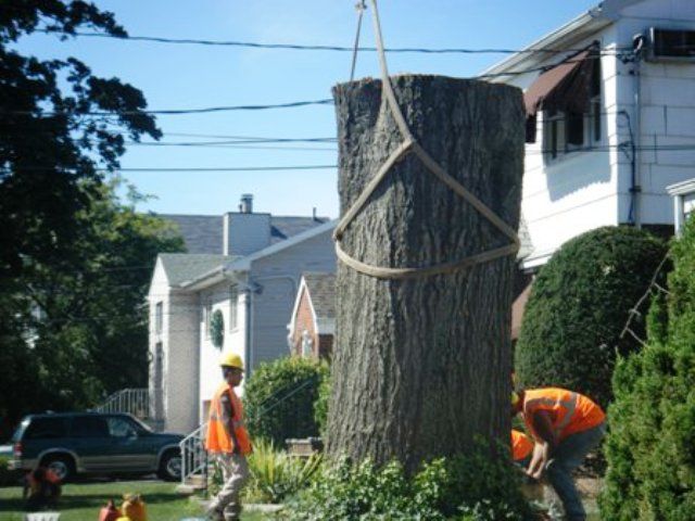 Just finishing up another great job.