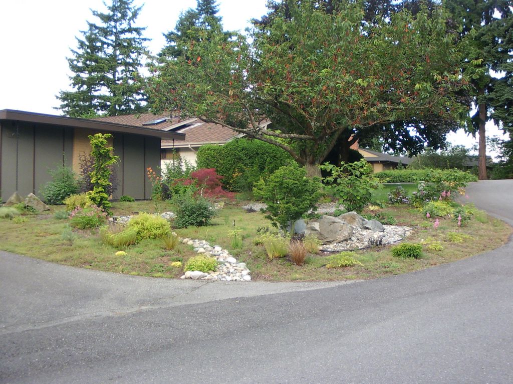 1 year after planting at residence in Bellevue