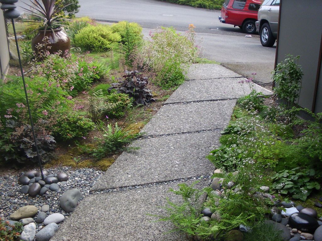 1 year after planting at residence in Bellevue