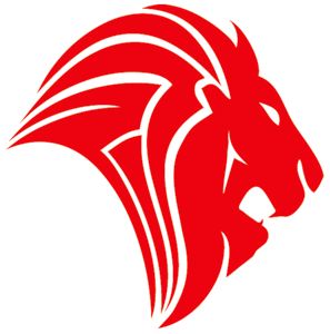 The Lion Consulting Group