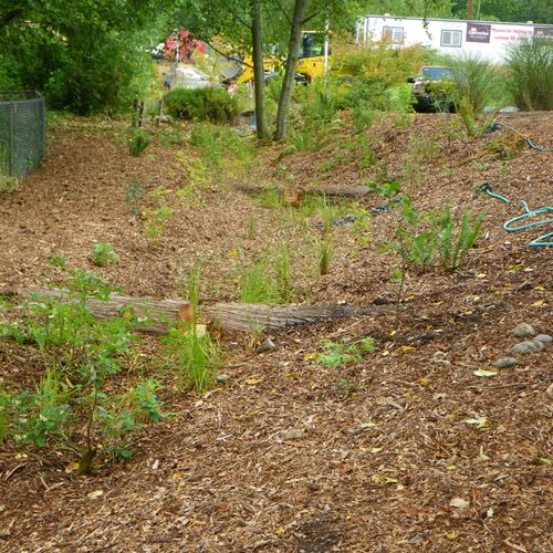Rain garden designed and constructed for The Clear
