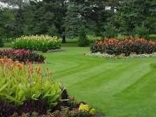 Green Professional Landscaping