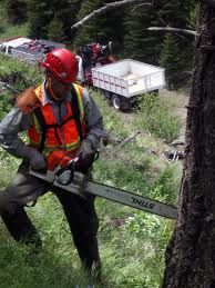 All Aspects Tree Services