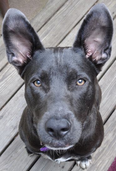 I'm all ears!