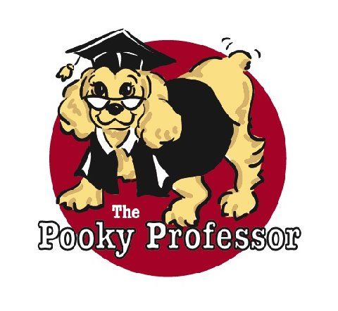 The Pooky Professor