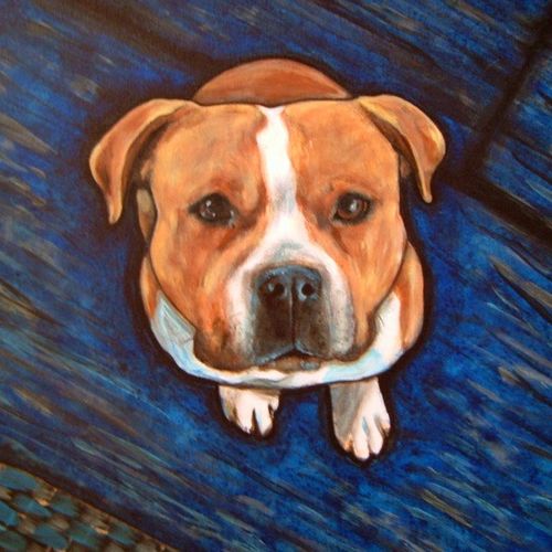 Pit Bull portrait from photograph by Theresa Stite