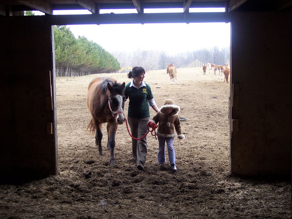 lessons available for riders of nearly any age on 