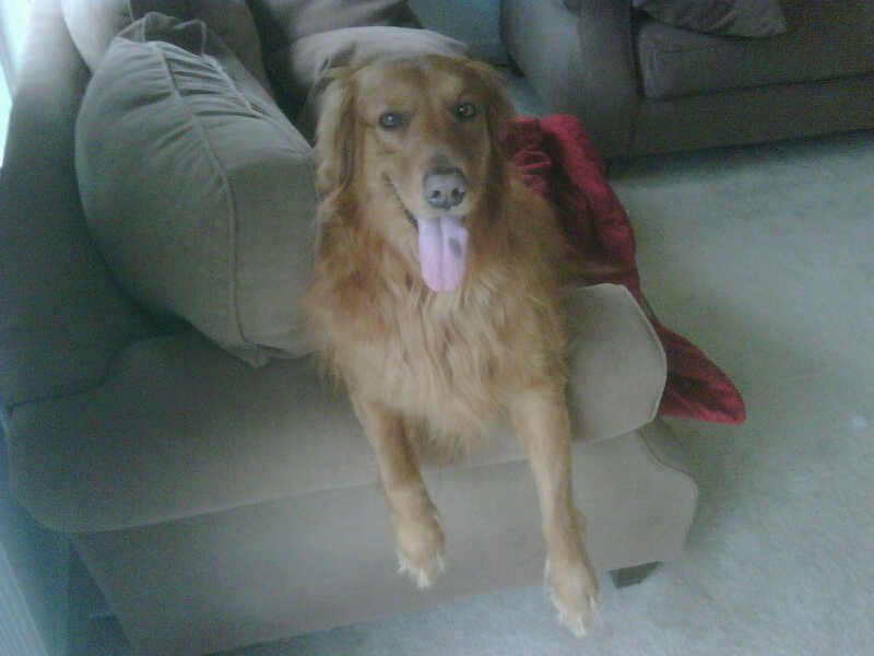 Meet some of my happy clients!

*Ruby