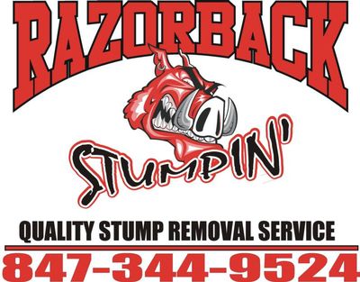 Avatar for Razorback Stump Removal