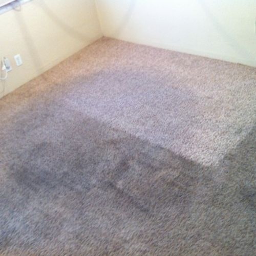 Check out the difference in what our carpet cleani