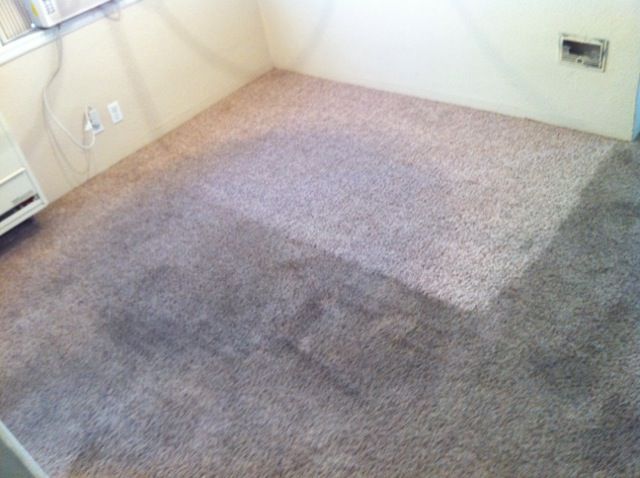 Check out the difference in what our carpet cleani