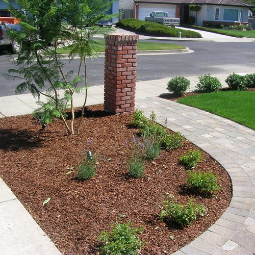 Front yard walkway with paver and landscape