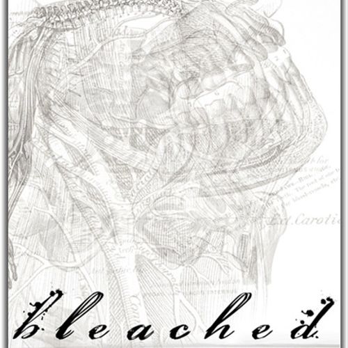 "Bleached: Hope for the Desolate" by David McDonal