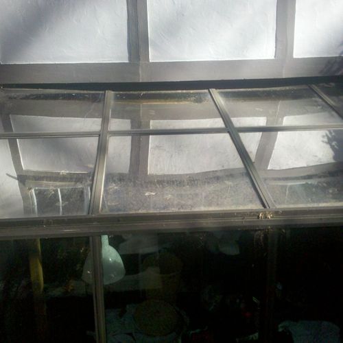Dirty Atrium Windows (before)