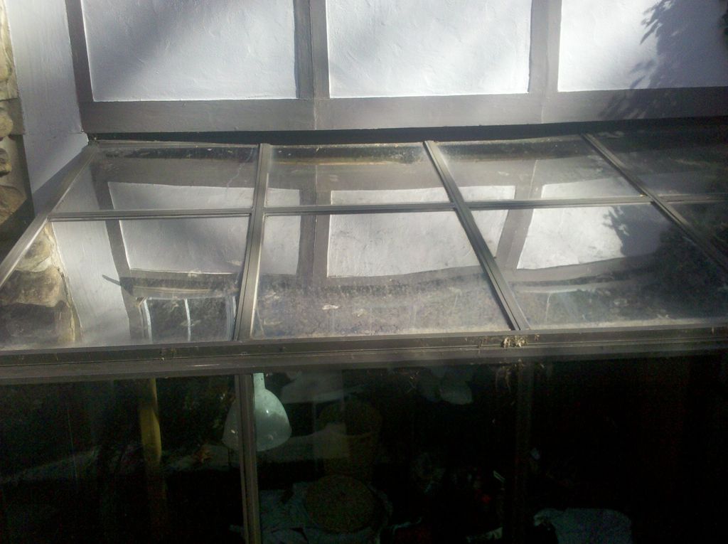 Dirty Atrium Windows (before)
